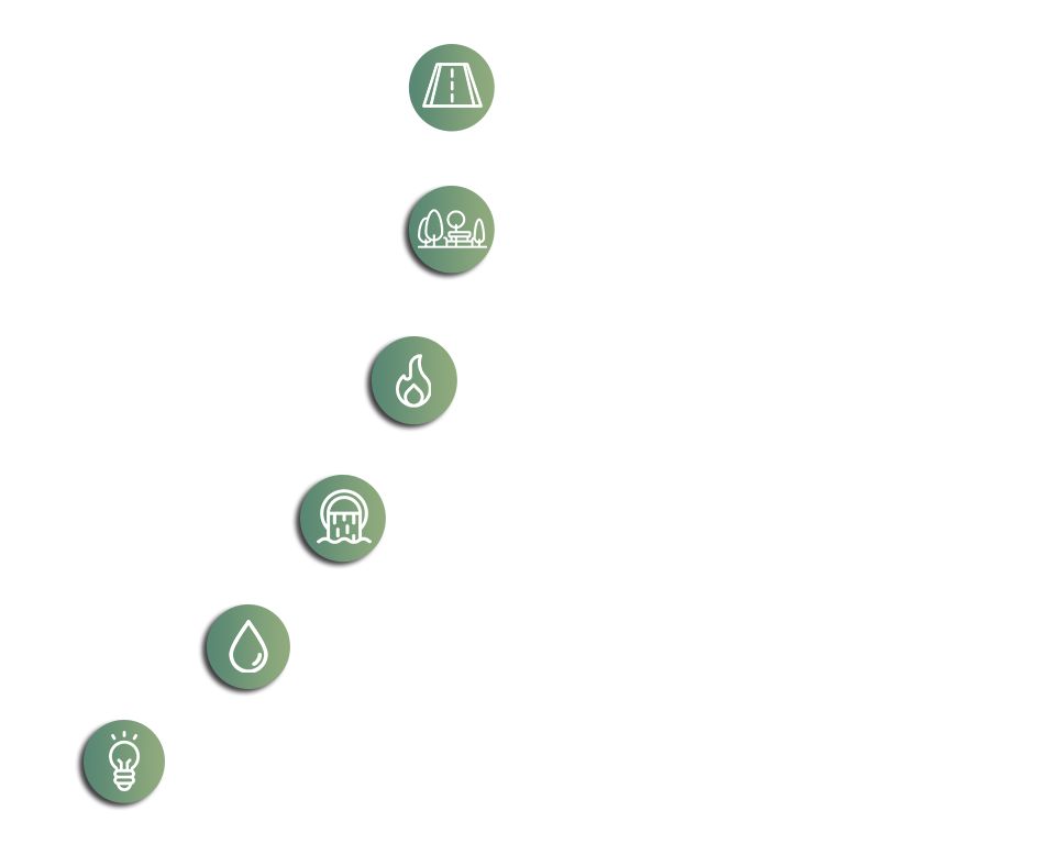 capo iconos